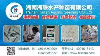 行情高漲激發養戶熱情，淡水魚功能料時代 超越噱頭的技術深耕與價值回歸