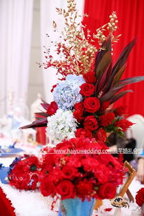 海芋婚禮 蘇州婚慶禮儀服務(wù)的專(zhuān)業(yè)選擇