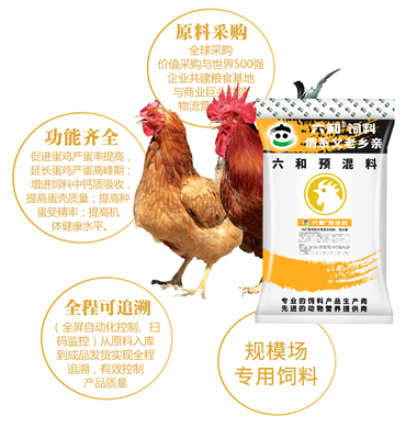 新希望六和5%蛋雞高峰期飼料 助力高產(chǎn)穩(wěn)產(chǎn)的精準(zhǔn)營養(yǎng)方案